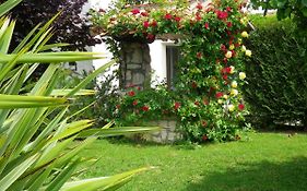 Chevrefeuille et Eglantine